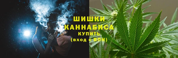 спайс Нея