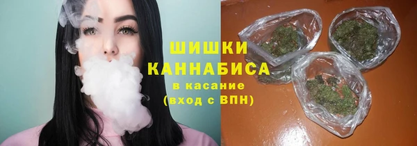 дмт Билибино