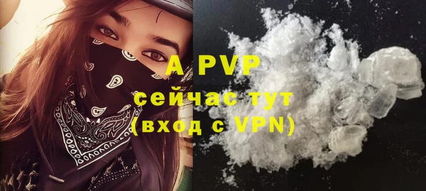 спайс Нея