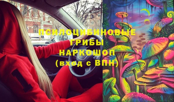 MDMA Новозыбков