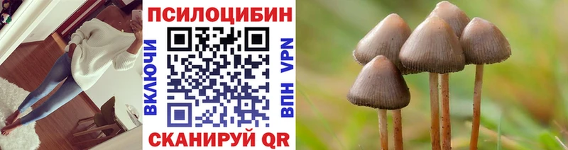 Галлюциногенные грибы Psilocybe  ссылка на мегу как зайти  Нытва 